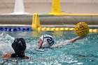 WWPolo @ CC  Wheaton College Women’s Water Polo at Connecticut College. - Photo By: KEITH NORDSTROM : Wheaton, water polo